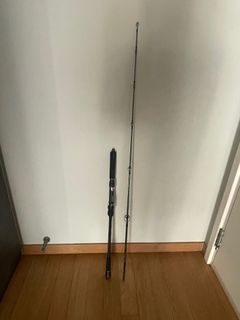 Ugly Stik Bigwater Spinning Rod 9' 15-60g