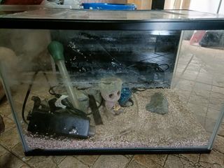 (Category: ) located in . Submitted by jamie3143 (Listing ID 1298166509, Image 1). Description: .