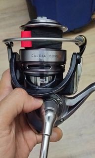 Daiwa ST-15 Millionaire Baitcasting Reel, Sports Equipment, Fishing on  Carousell