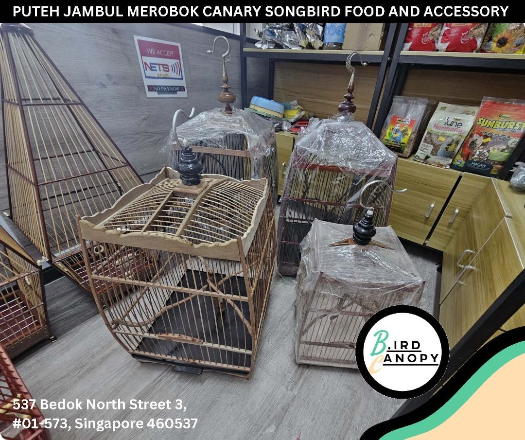 Jambul Cages @ 537 Bedok North Street 3 #01-573, Pet Supplies, Homes &  Other Pet Accessories on Carousell