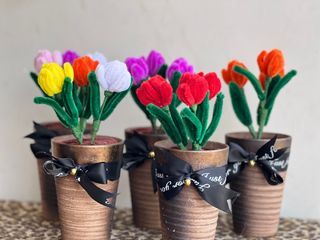 mini tulips in a pot