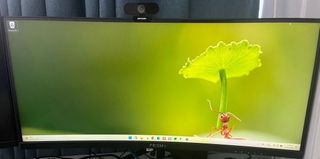 (Category: ) located in . Submitted by krisspore (Listing ID 1298223768, Image 1). Description: .