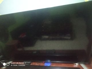 (Category: ) located in . Submitted by deedee1989 (Listing ID 1298288338, Image 1). Description: .