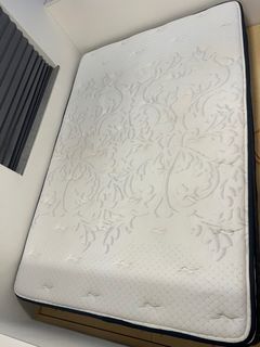 （分類：）位於 。 由 rachacat 提交（商品編號 1298255380，圖片 1）。簡介： 。