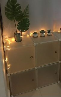 (Category: ) located in . Submitted by ted_garden (Listing ID 1298407651, Image 1). Description: .