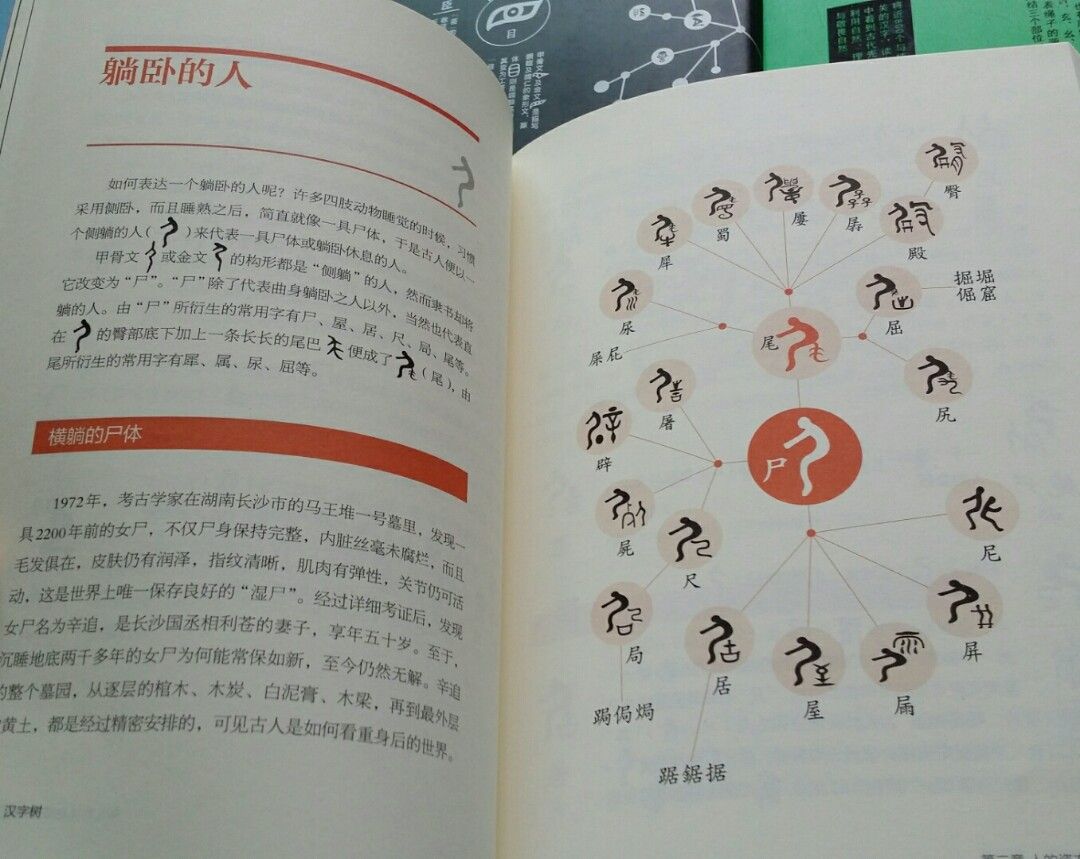 全套6本漢字樹簡體版象形文字, 興趣及遊戲, 書本& 文具, 補充練習- Carousell