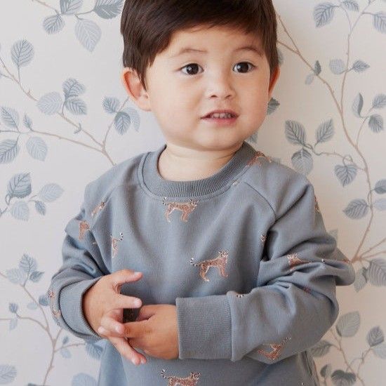 6Yr cheetah sweatshirt Jamie Kay Cheetah Sweatshirt cheetah sage Organic Cotton pullover sweater outerwear for kids toddler children Babies Kids Babies Kids Fashion on Carousell