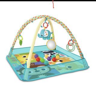 Baby Play Mat / Activity Gym