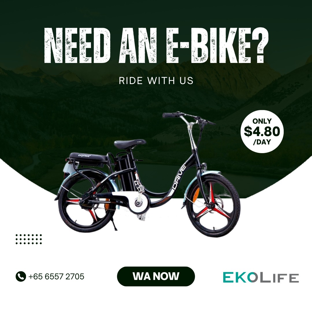 Visual Reference: Drive Plus Drive Ebike Rents Pab Rentals