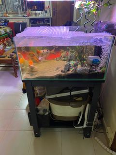 (Category: ) located in . Submitted by bazhang1 (Listing ID 1298417883, Image 1). Description: .