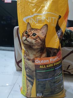 Infinity cat food Ocean fish 20kg