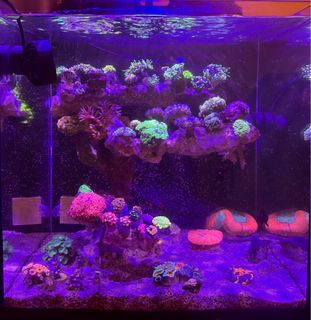 (Category: ) located in . Submitted by jadedjj (Listing ID 1298589343, Image 1). Description: .