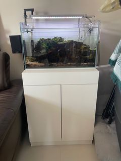 （分類：）位於 。 由 leclercb 提交（商品編號 1298525861，圖片 1）。簡介： 。