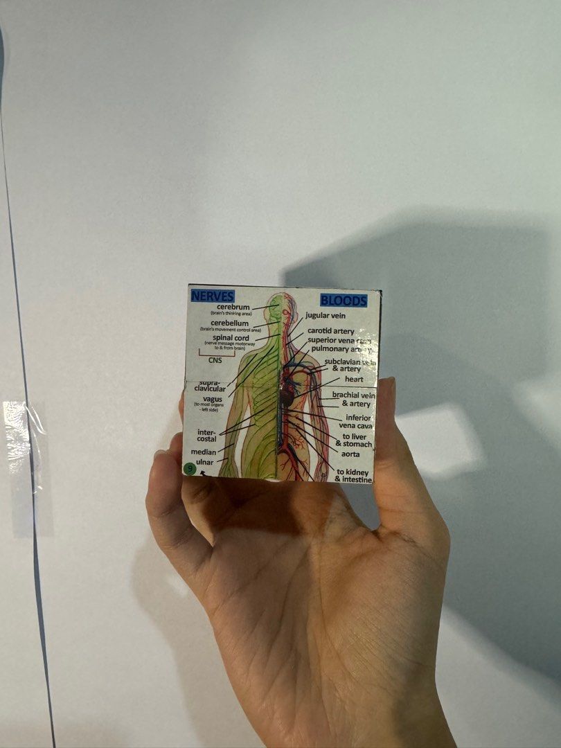 Anatomy / Medical Magnetic Cube (Category: Medical Supplies & Tools) located in Manila. Submitted by prelovedbyariiii (Listing ID 1298620861, Image 1). Description: Bought from the orange app for ₱398. In good condition, no dents or scratches. Please take note that the graphics pasted on the cube may not be perfectly fit and slight overlap/unevenness. .