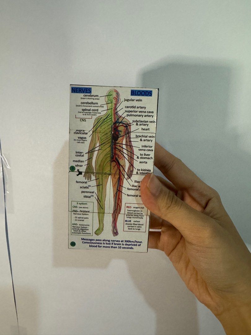 Anatomy / Medical Magnetic Cube (Category: Medical Supplies & Tools) located in Manila. Submitted by prelovedbyariiii (Listing ID 1298620861, Image 2). Description: Bought from the orange app for ₱398. In good condition, no dents or scratches. Please take note that the graphics pasted on the cube may not be perfectly fit and slight overlap/unevenness. .