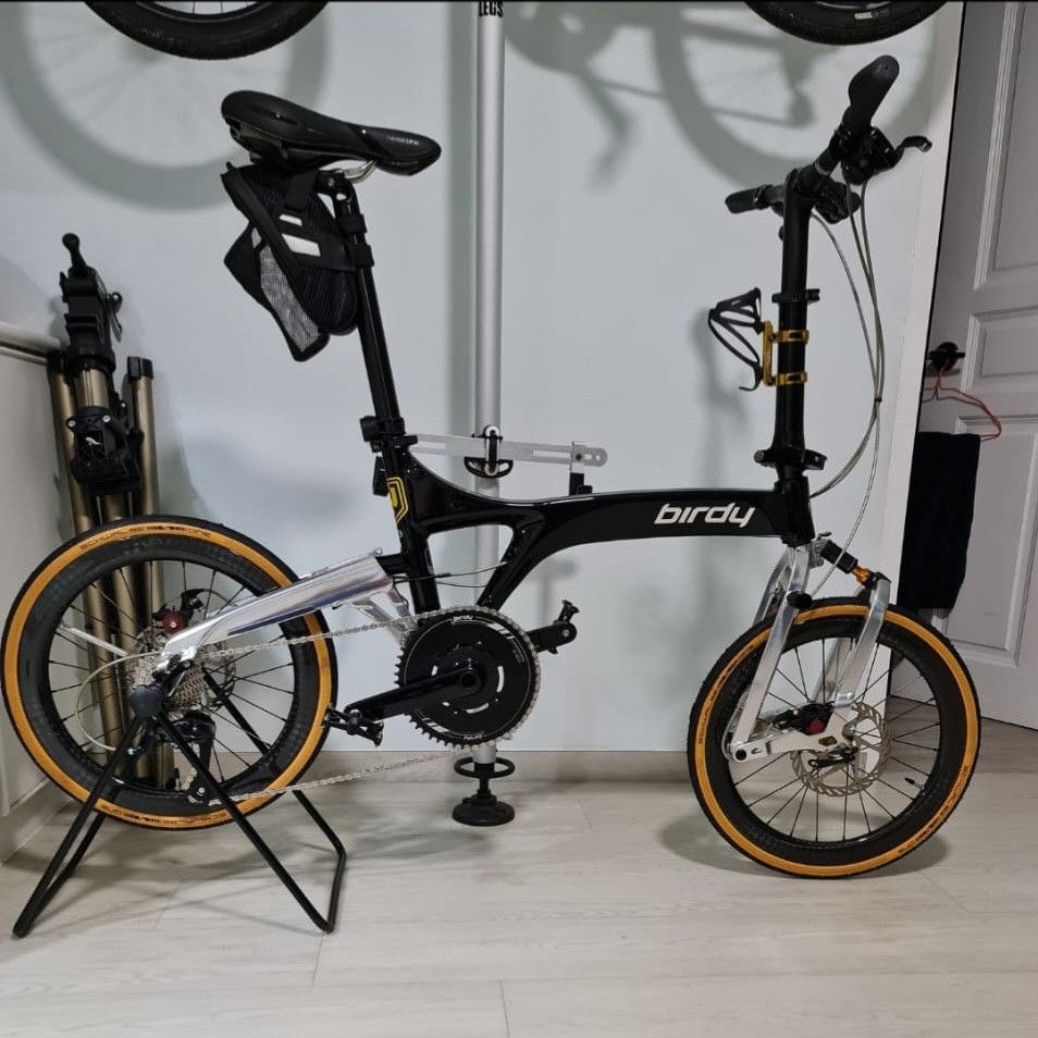 Birdy City with upgraded 20 inch full carbon wheelset