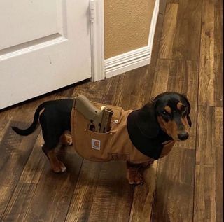 Carhartt Insulated Dog Chore Coat