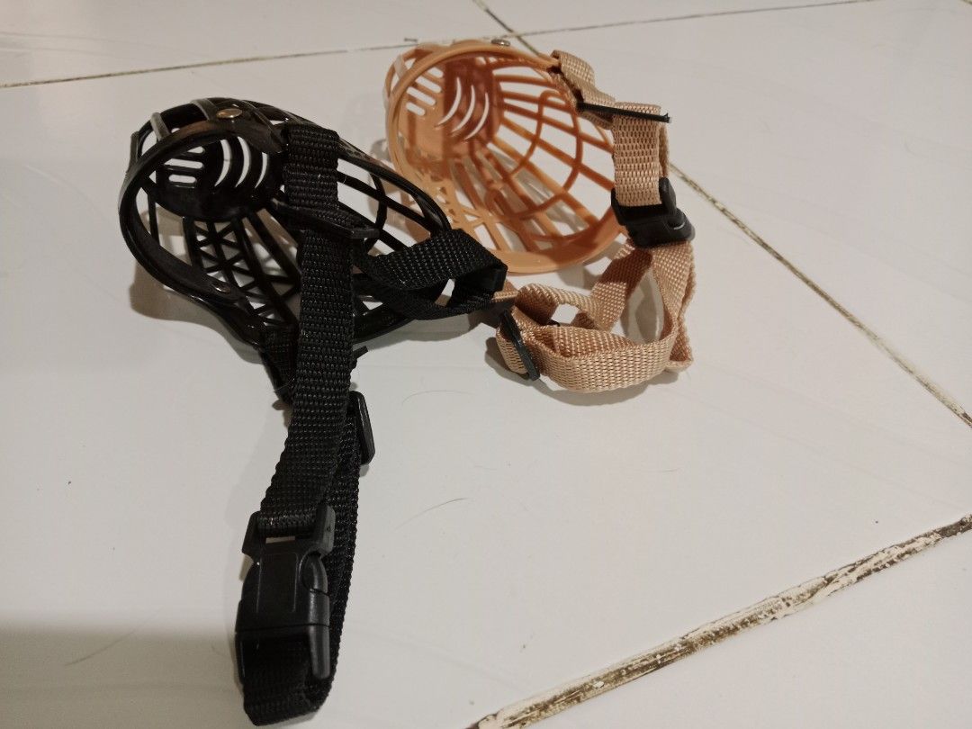 Take all: Dog muzzle mouth cover bundle (Category: Homes & Other Pet Accessories) located in Antipolo. Submitted by hm_cyst (Listing ID 1298509188, Image 2). Description: free when you buy at least 100 pesos from my listing :) for medium dogs.
