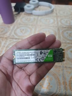 World Digital Green - 120GB SATA SSD M.2
