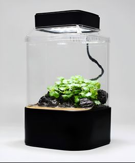 （分類：）位於 。 由 green_ikido 提交（商品編號 1298635296，圖片 1）。簡介： 。