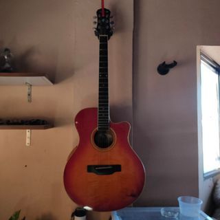 Acoustic Electric Guitar FS/FT