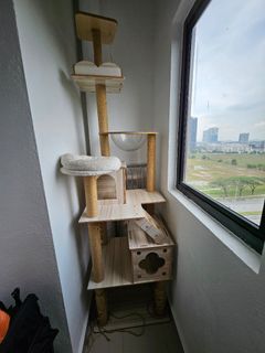 (Category: ) located in . Submitted by loongz1913 (Listing ID 1298702159, Image 1). Description: .