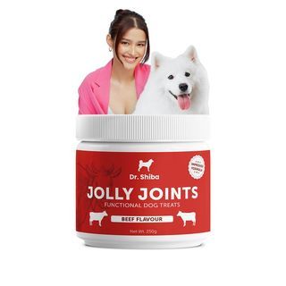 DR.SHIBA JOLLY JOINTS FUNCTIONAL DOG TREATS 250g 100 Treats