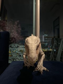 （分類：）位於 。 由 lkf1628 提交（商品編號 1298767348，圖片 1）。簡介： 。