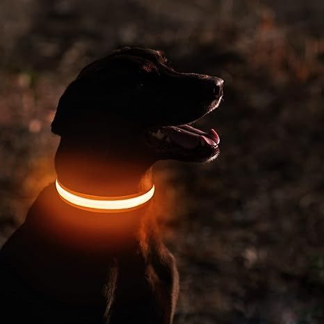 MASBRILL Light Up Dog Collars LED Dog Collar Rechargeable Waterproof Lighted Dog Collar Night Walking Glow Collar for Small Medium Large Dogs Pet Supplies Homes Other Pet Accessories on Carousell