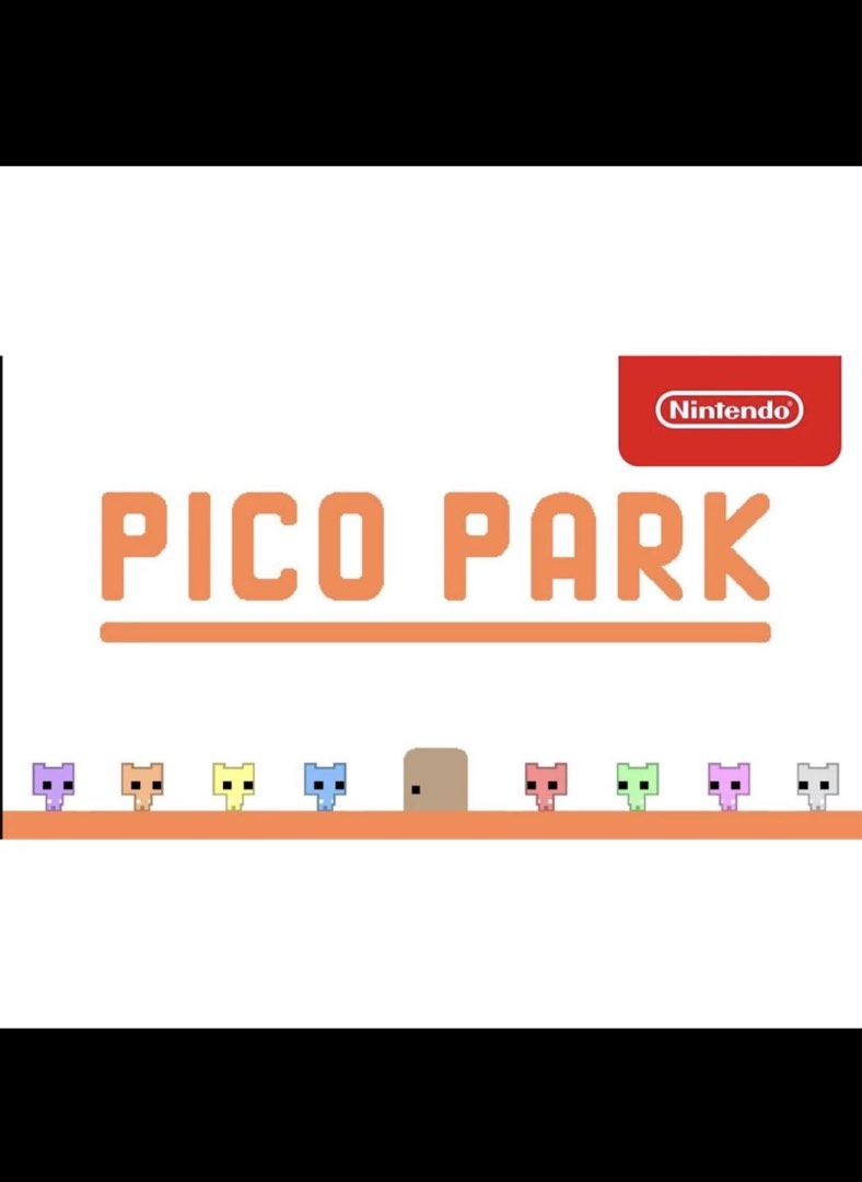 Pico Park (Nintendo Switch), Video Gaming, Video Games, Nintendo on  Carousell