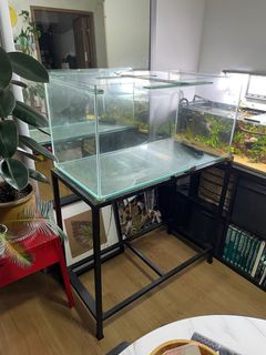 (Category: ) located in . Submitted by crimson_betta (Listing ID 1298905392, Image 1). Description: .