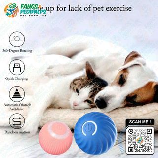 SMART INTERACTIVE DOG & CAT BALL TOY