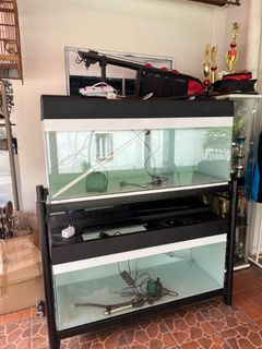 (Category: ) located in . Submitted by acabameer (Listing ID 1299046473, Image 1). Description: .