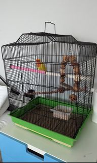 (Category: ) located in . Submitted by diamondcat22 (Listing ID 1299105553, Image 1). Description: .
