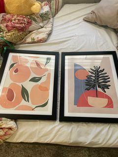 Framed Printe (Plant and Peach)