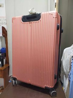 Large Luggage 30kg