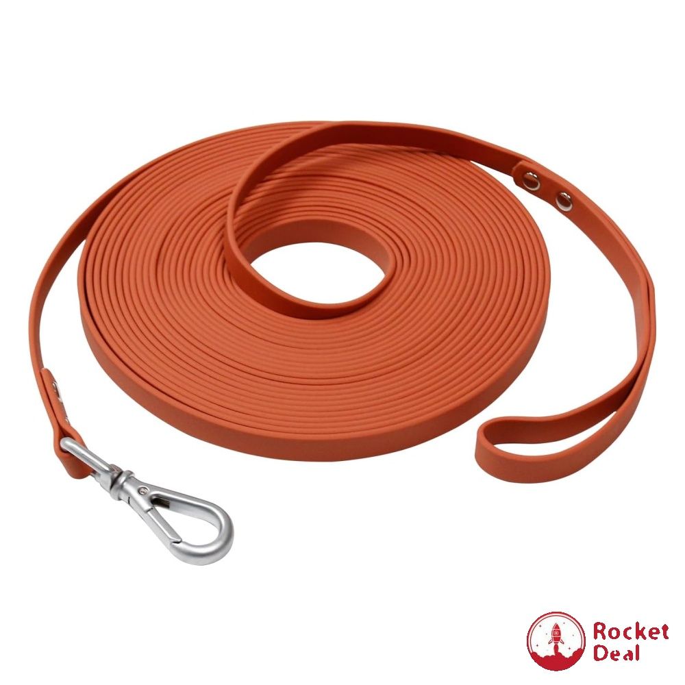 Long outside dog leash hot sale