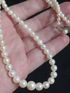 Akoya Pearl Necklace from Japan