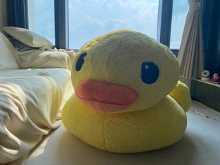 （分類：）位於 。 由 hei85921 提交（商品編號 1296293015，圖片 1）。簡介： 。