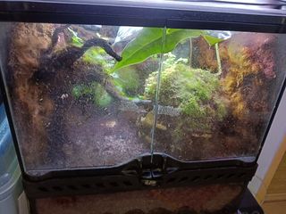(Category: ) located in . Submitted by prometheus12 (Listing ID 1296245159, Image 1). Description: .