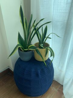 (Category: ) located in . Submitted by nicheem (Listing ID 1296240952, Image 1). Description: .