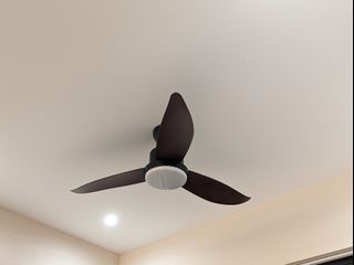 (Category: ) located in . Submitted by jhk2018 (Listing ID 1299206184, Image 1). Description: .