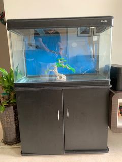 (Category: ) located in . Submitted by purefish_899daf (Listing ID 1299153763, Image 1). Description: .