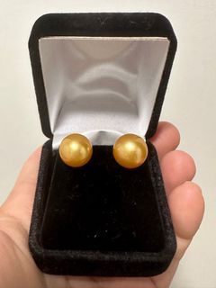 South Sea Pearls! Champagne Gold pearl earring w/ 14K gold