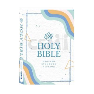 Holy Bible Youth Edition : WAVE ( ESV )