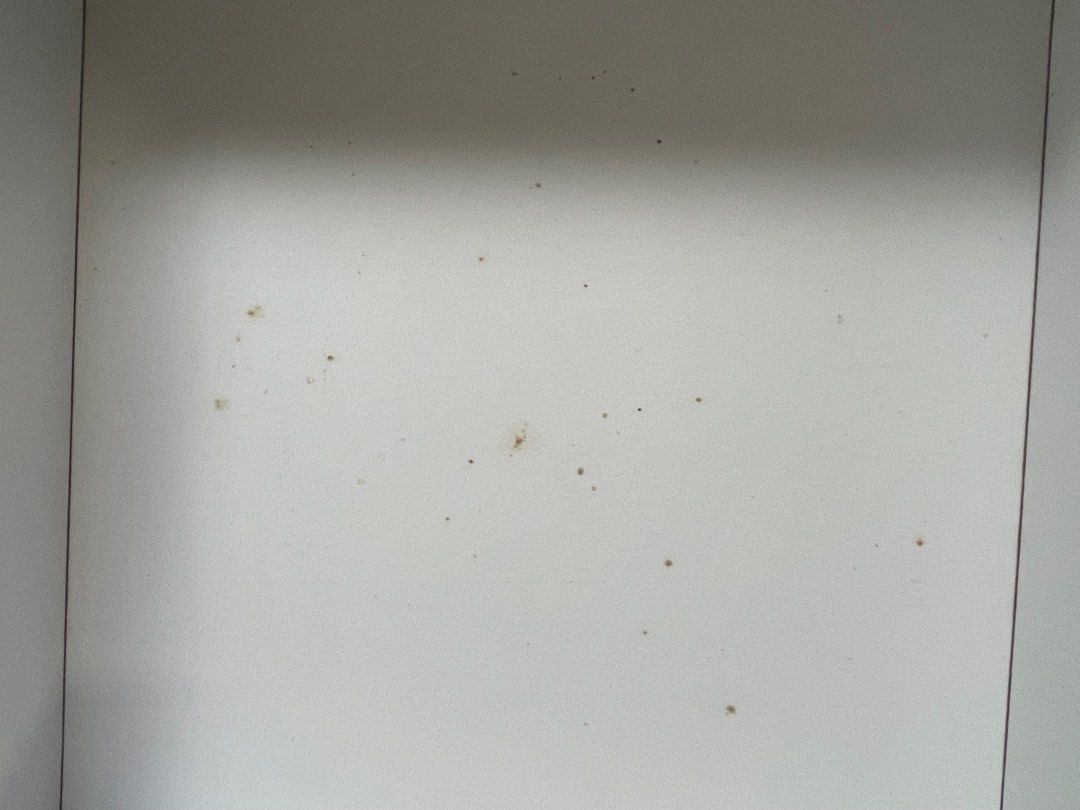 Popmart Dimoo x Minions, Hobbies & Toys, Memorabilia & Collectibles ...