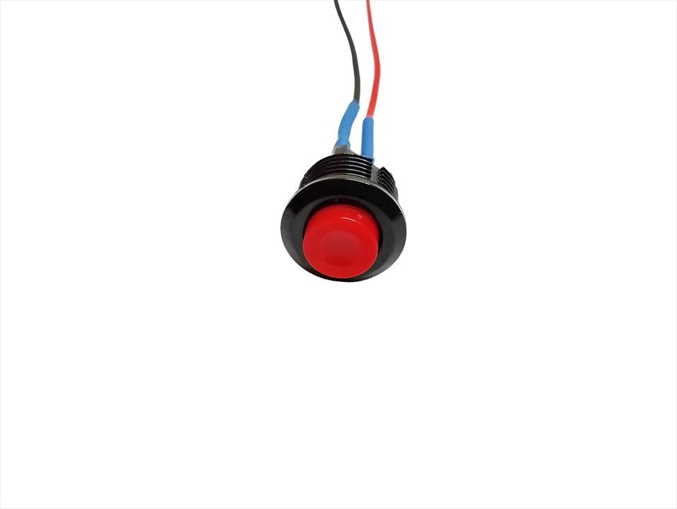 PUSH BUTTON SWITCH 14mm MOMENTARY 2-PIN DS-500 1A with WIRE (1-PC per ...