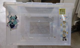 （分類：）位於 。 由 susu2000 提交（商品編號 1299318071，圖片 1）。簡介： 。