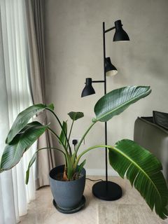 (Category: ) located in . Submitted by merynkim (Listing ID 1299346004, Image 1). Description: .