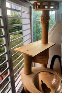 (Category: ) located in . Submitted by sueris (Listing ID 1299330146, Image 1). Description: .
